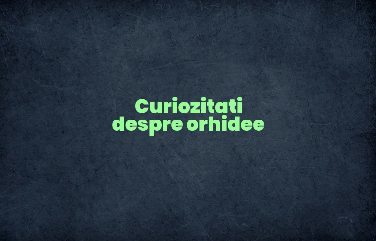 curiozitati despre orhidee