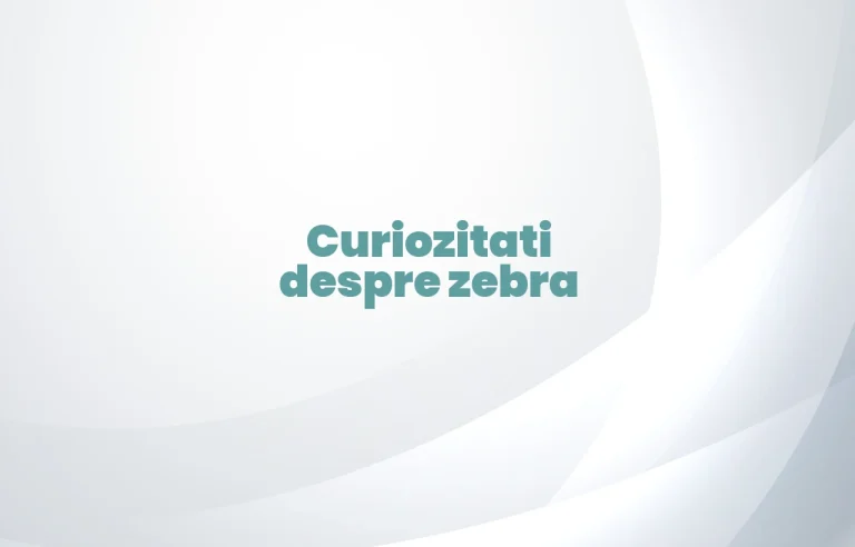 curiozitati despre zebra