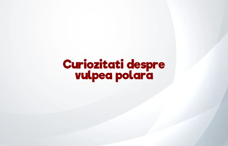 curiozitati despre vulpea polara