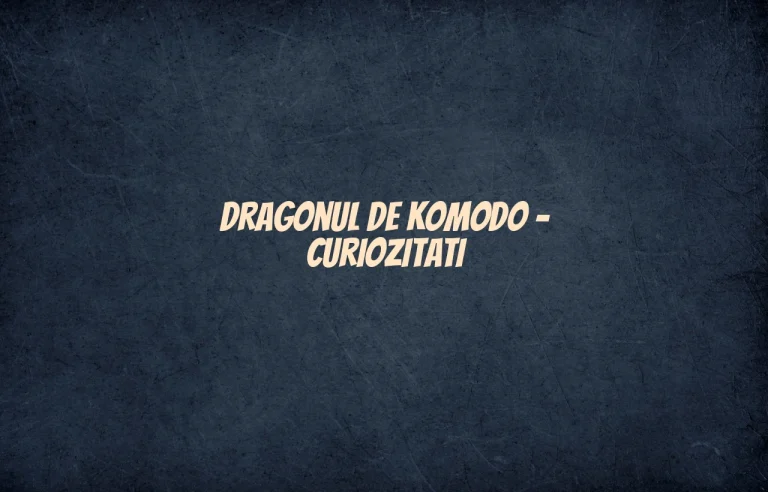 dragonul de komodo curiozitati