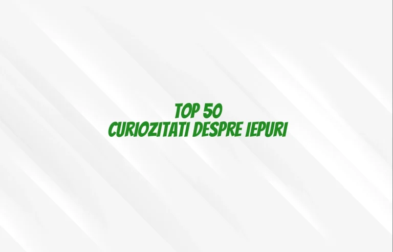 top 50 curiozitati despre iepuri