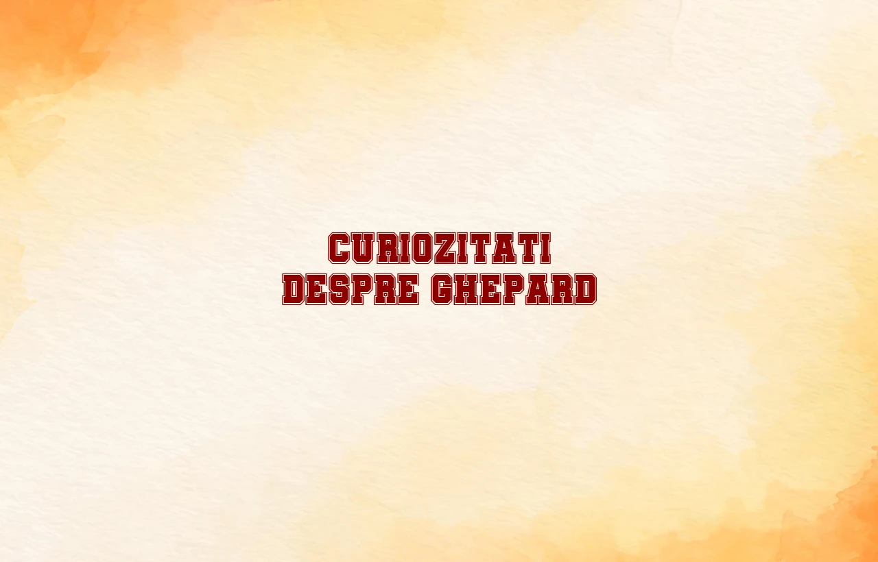 curiozitati despre ghepard