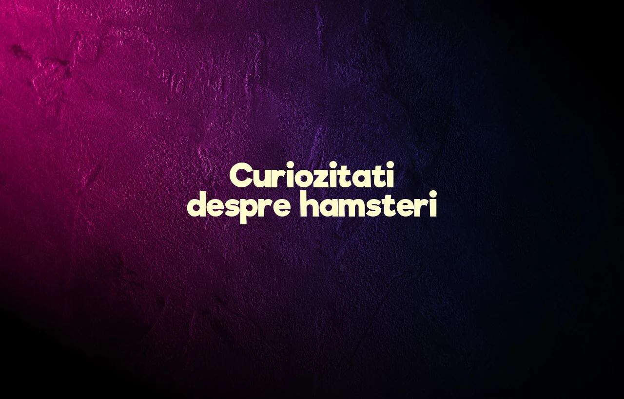 curiozitati despre hamsteri