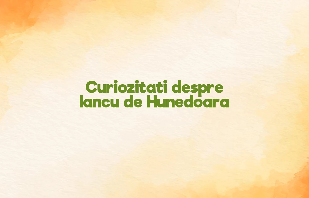 curiozitati despre iancu de hunedoara