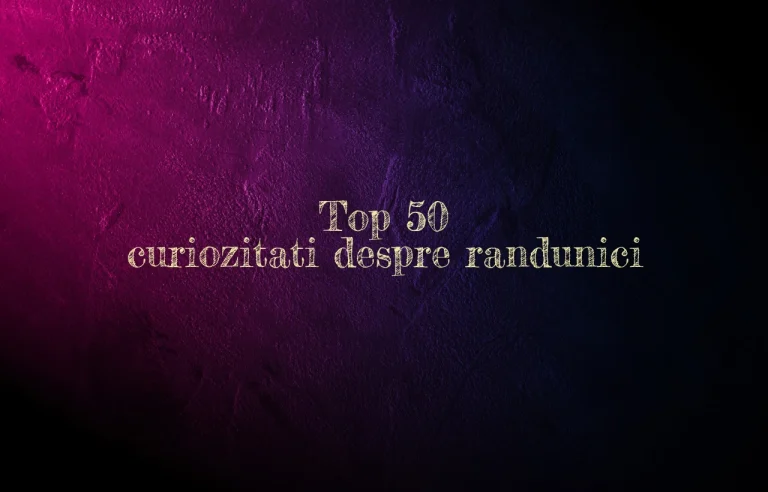 top 50 curiozitati despre randunici