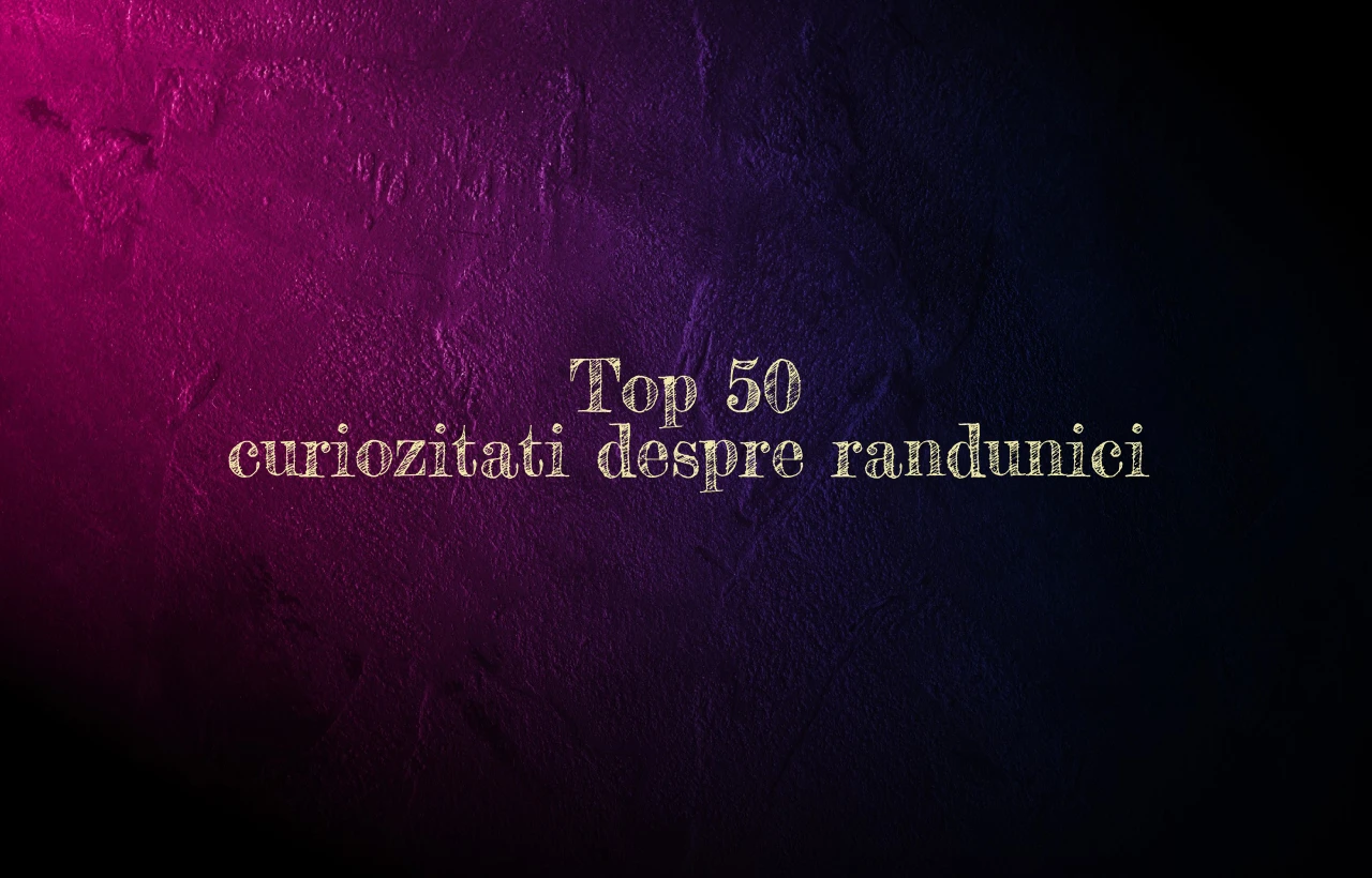 top 50 curiozitati despre randunici