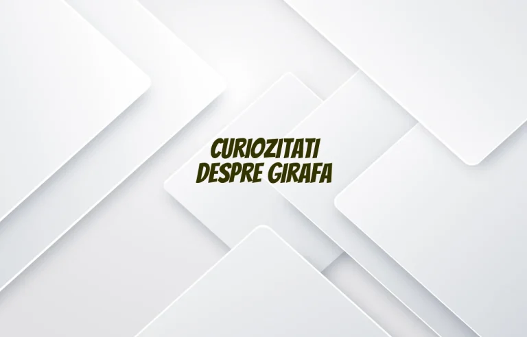 curiozitati despre girafa