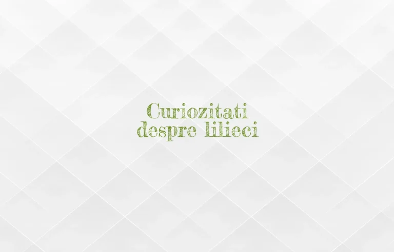 curiozitati despre lilieci