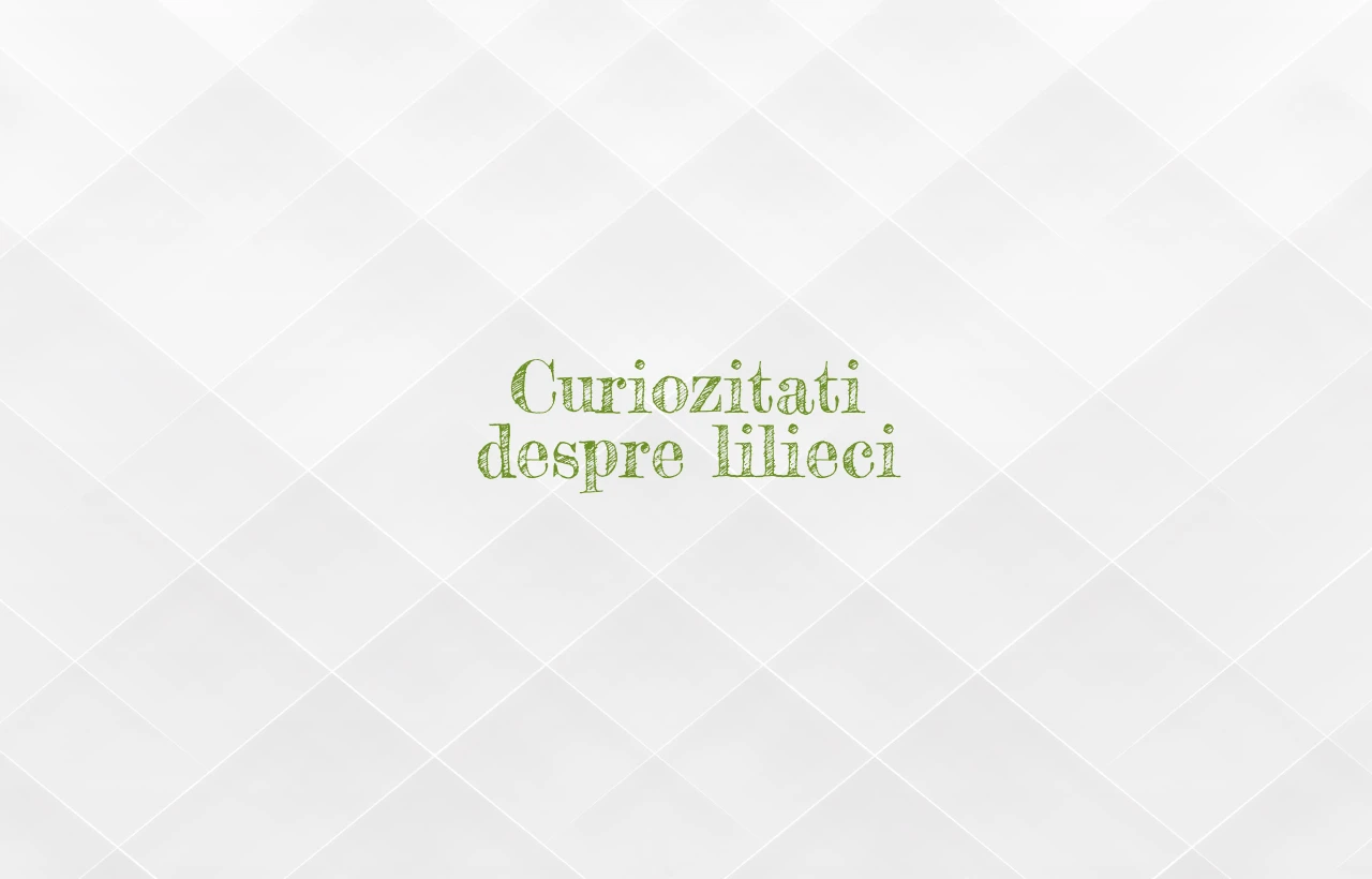 curiozitati despre lilieci