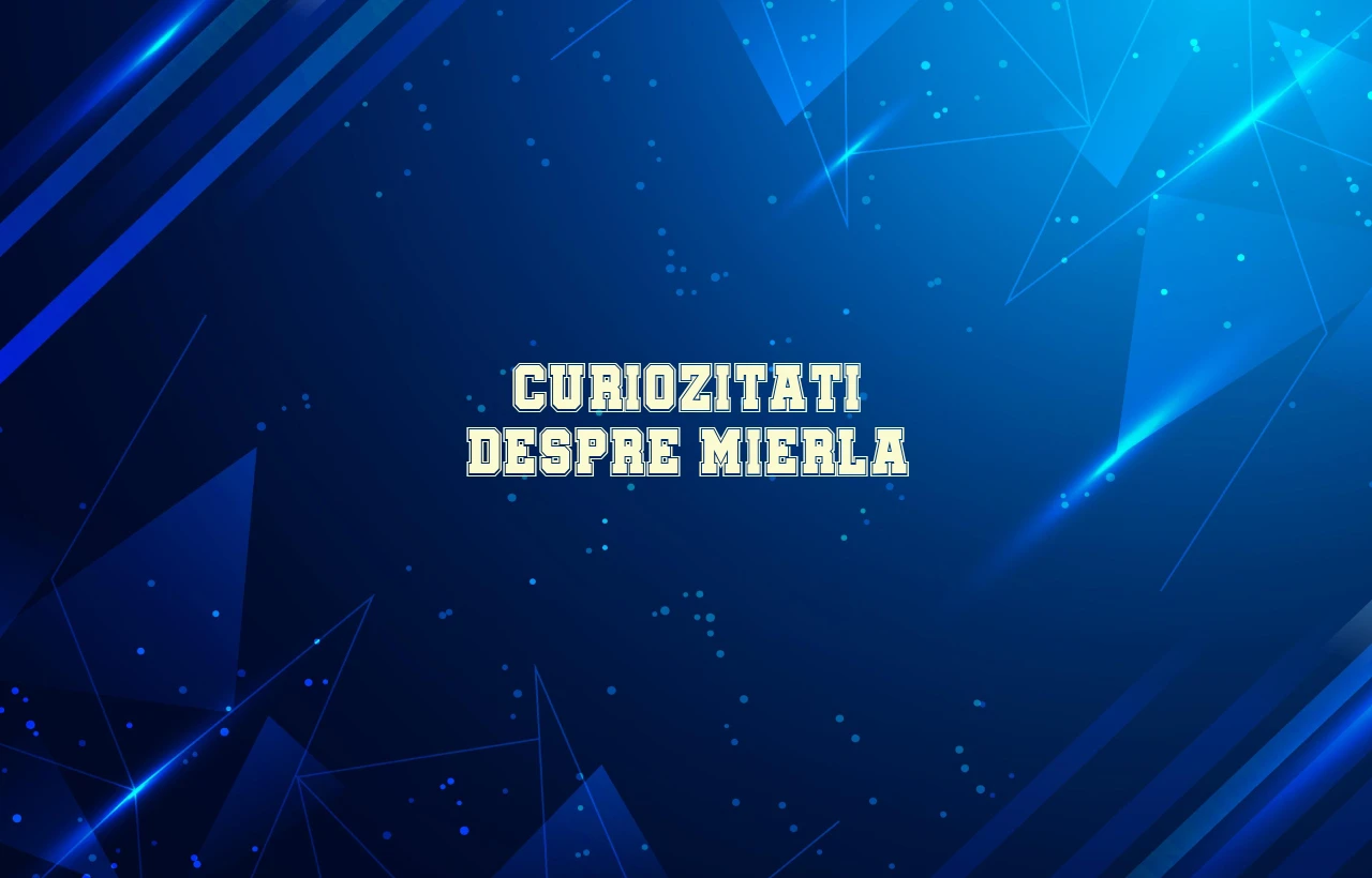 curiozitati despre mierla