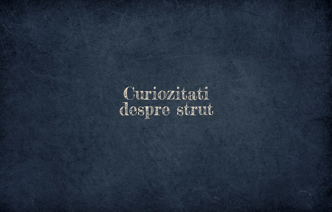 curiozitati despre strut