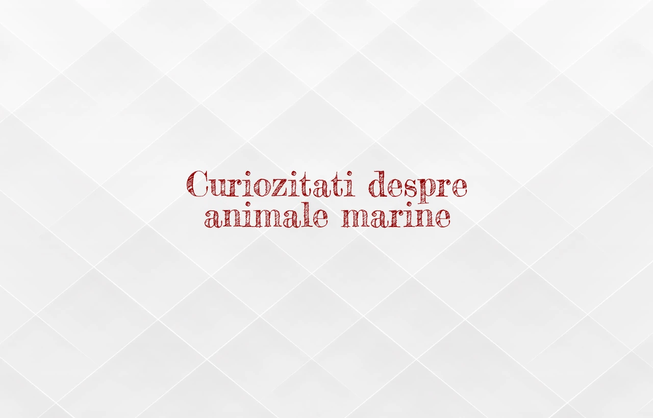 curiozitati despre animale marine