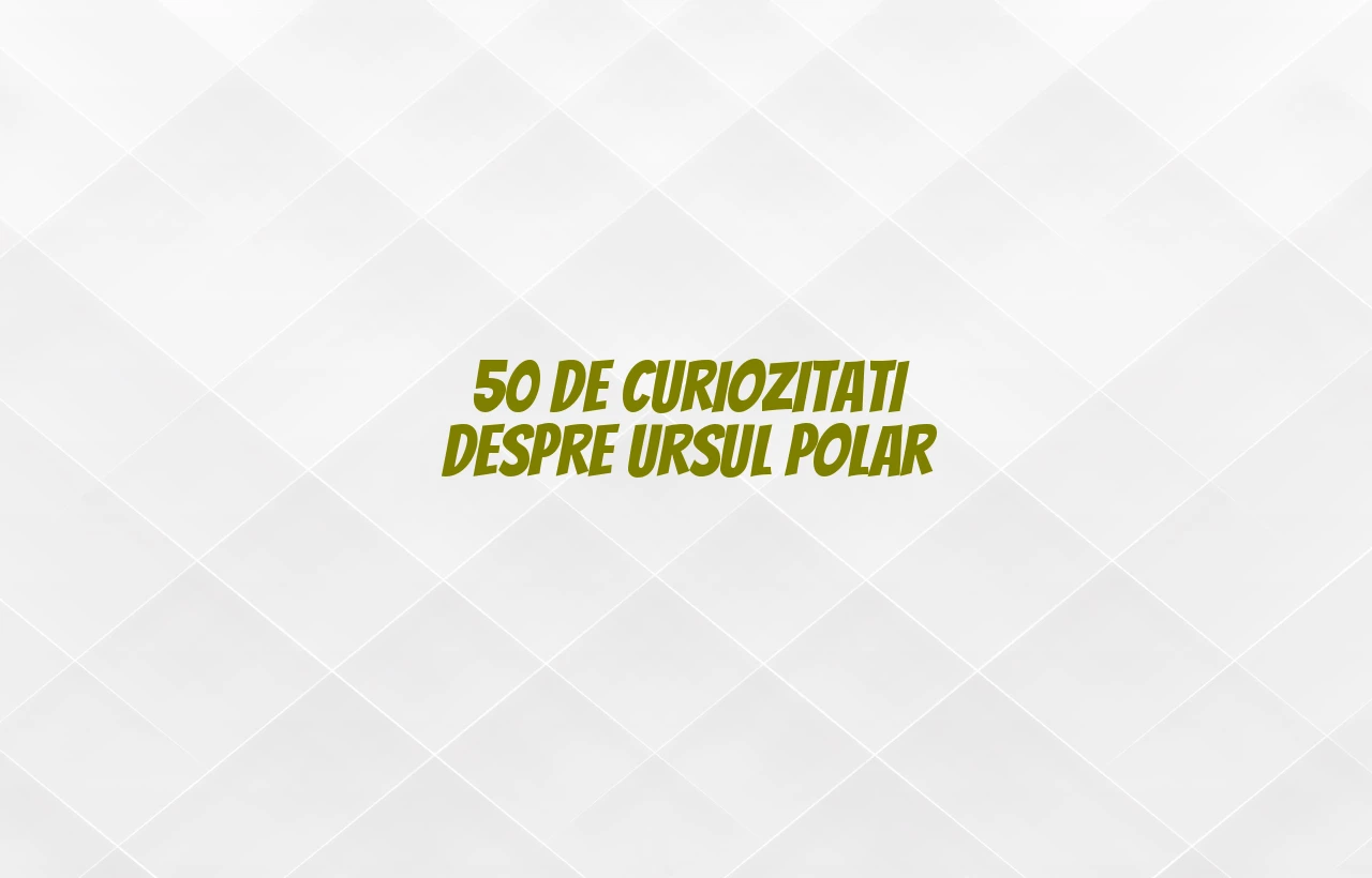 50 de curiozitati despre ursul polar