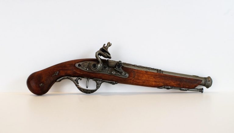 cati ani are gina pistol